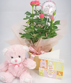 Post-a-Rose New Baby Girl Gift