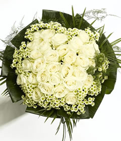 Prestige Avalanche Perfection