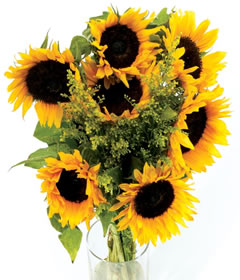 Sunflowers Bouquet