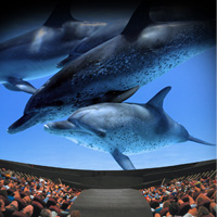 Power Pass New Orleans 5 Day New Orleans Power