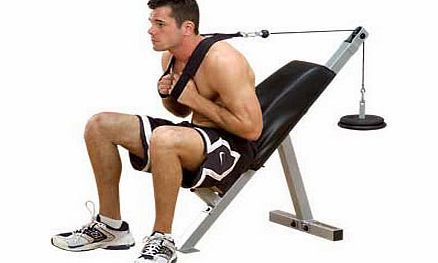 Powerline Ab Crunch Board