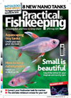 Practical Fishkeeping 6 Months DD   API
