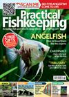 Practical Fishkeeping Annual Direct Debit   SF