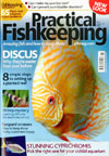 Practical Fishkeeping Monthly Direct Debit -