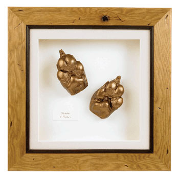 Precious Paws Casting Kit