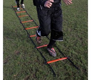 Precision Training 8m Speed Agility Ladders