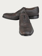 premiata shoes brown
