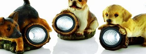 Premier Decorations Limited Premier BS122194 22cm Dog with Solar Light - White (3 Assorted piece)