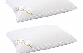 premium Soft Siberian Goose Down Pillows (2)
