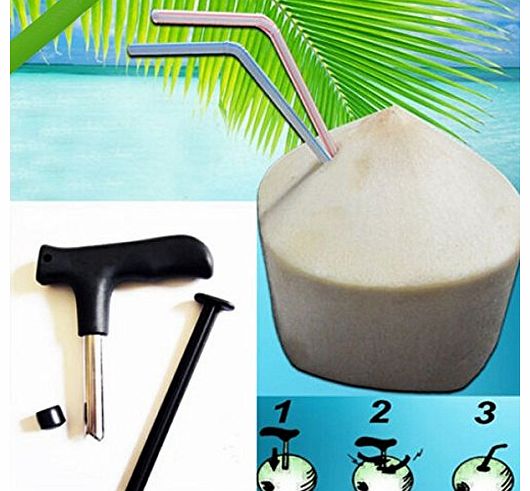 Price4you Coconut Opener Coconut Punch Driller Cut Drill Hole Tool