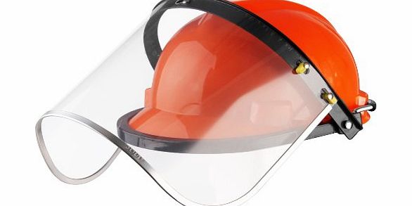 Primrose Woodfield Safety Helmet with Visor