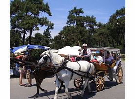 Princes Islands from Istanbul - Child