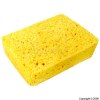 Professional Natural Cellulose Decorators Sponge