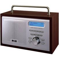 PROLINE DIGITAL DAB401