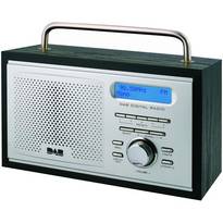 Proline Digital DAB402