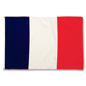 Promex France Large Flag