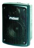ProSound 300W 8inch Plastic Cabinet Speaker