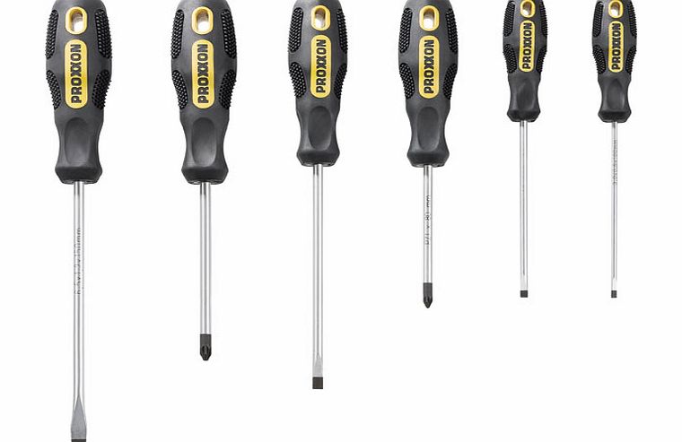 Proxxon Industrial 22606 Flex-Dot Slotted/Pozi