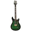 PRS SE Paul Allender Signature Model - Limited