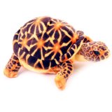 Soft Plush Toy Tortoise, Brown