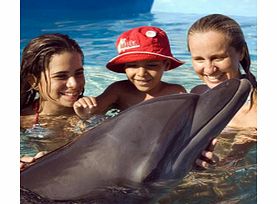 Puerto Vallarta Dolphin Encounter plus Admission