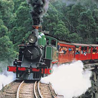 Puffing Billy with Wildlife incl. Lunch Puffing Billy with Wildlife