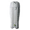 PUMA Ballistic 4000 Wicketkeeping Pads (3840436)