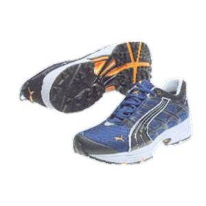 Puma Complete Betasso XCR Trail Shoe