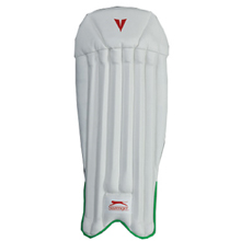 Elite Pro Icon Wicket keeping pads