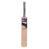 Evolution 4000Y Junior Cricket Bat