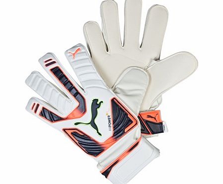 Puma evoPOWER Grip 2 RC Goalkeeper Gloves White
