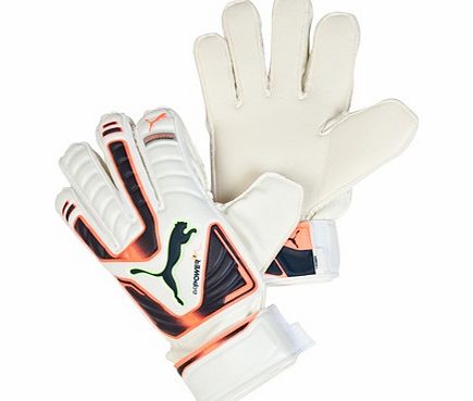 Puma evoPOWER Protect 3 Goalkeeper Gloves White