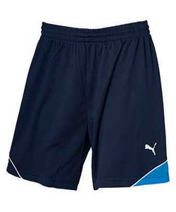 puma Football Shorts Royal - Large