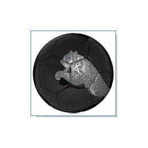 Puma Giant Cat Football