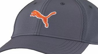 Puma Golf 3D Cat Flexfit Cap