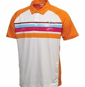 Mens Watercolour Stripe Polo Shirt 2013