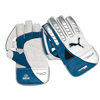 PUMA Iridium 6000 Protection Wicketkeeping Gloves