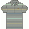 PUMA Men`s Polo 2 (80600502)