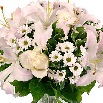 Pure White - flowers