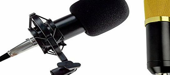 Puregadgets Pro Black Condenser Dynamic Microphone Mic Sound Studio Recording amp; Shock Mount