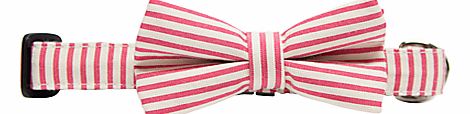 Pink Stripe Bow Tie Dog Collar