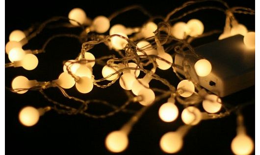 40 LED Battery Lights with Berry Covers on Transparent Wire, Warm White