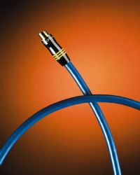 QED Qunex ESV AV Interconnect - 5 Metre