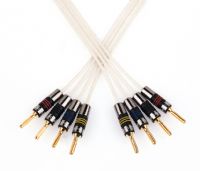 Silver Anniversary Bi-Wire Speaker Cable - 7 Metres- : 4 at one end 2 at the other