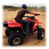 quad Biking Explorer