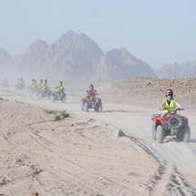 Quad Biking in the Sinai Desert - Single Quad