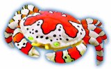 QUAY Clown Crab - 4D Puzzle