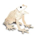 QUAY Frog Woodcraft Construction Kit