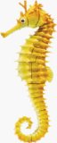 Quay Seahorse - 4D Puzzle
