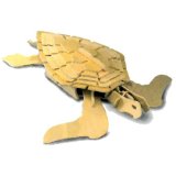 Quay Turtle Woodcraft Construction Kit